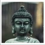 buddha wallpaper new android application logo